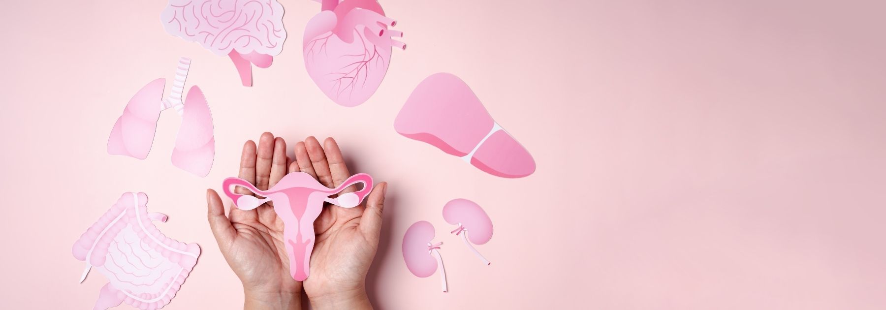 women's health clinic cheltenham